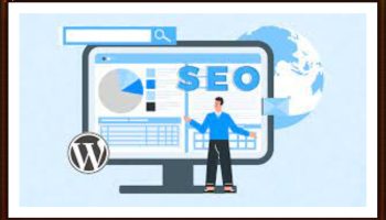 anti seo