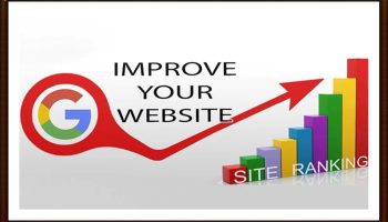 seo çalışması
