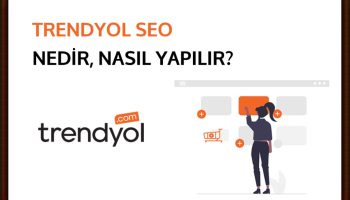 seo skor
