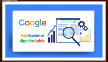 site seo analiz