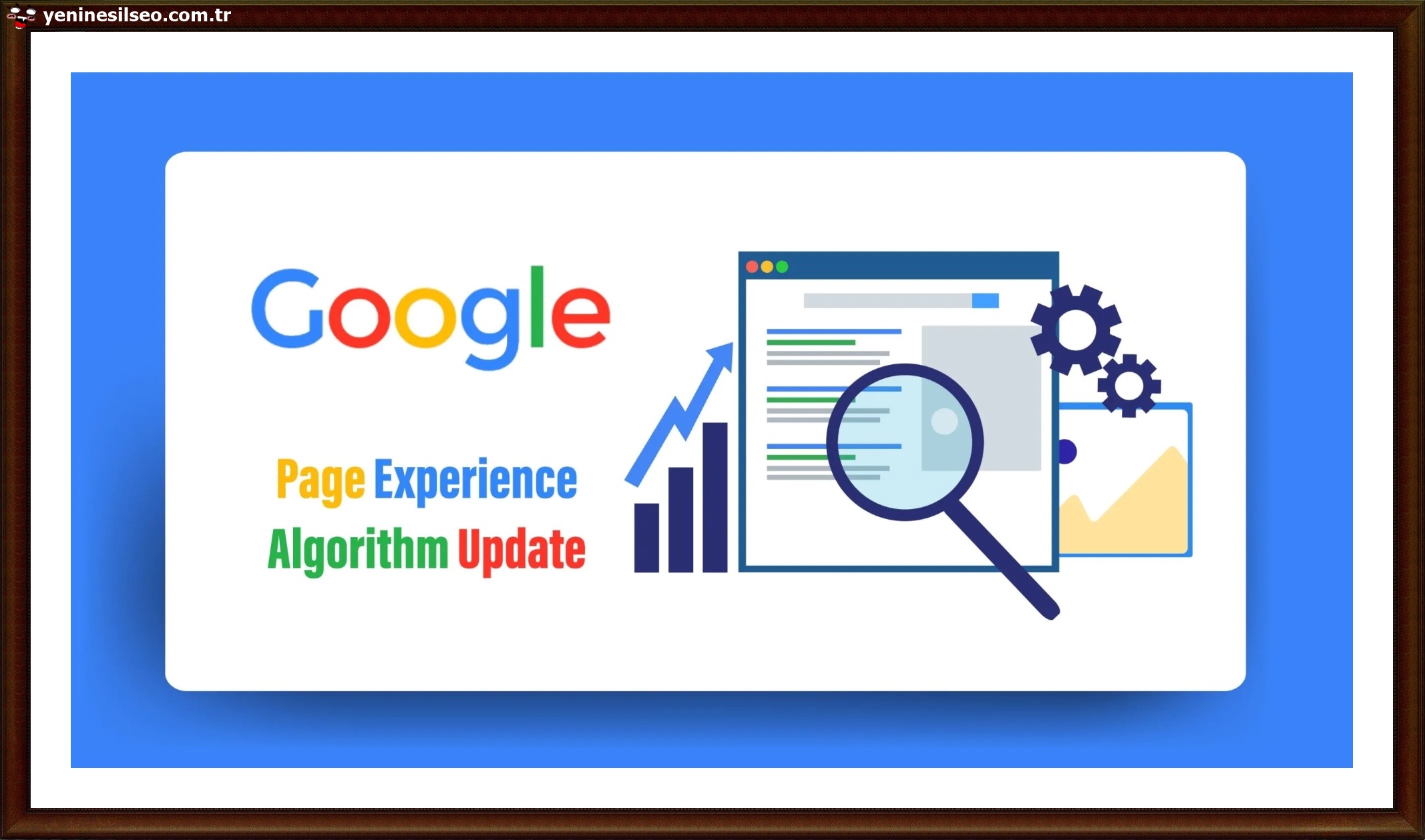 site bilgileri sorgulama