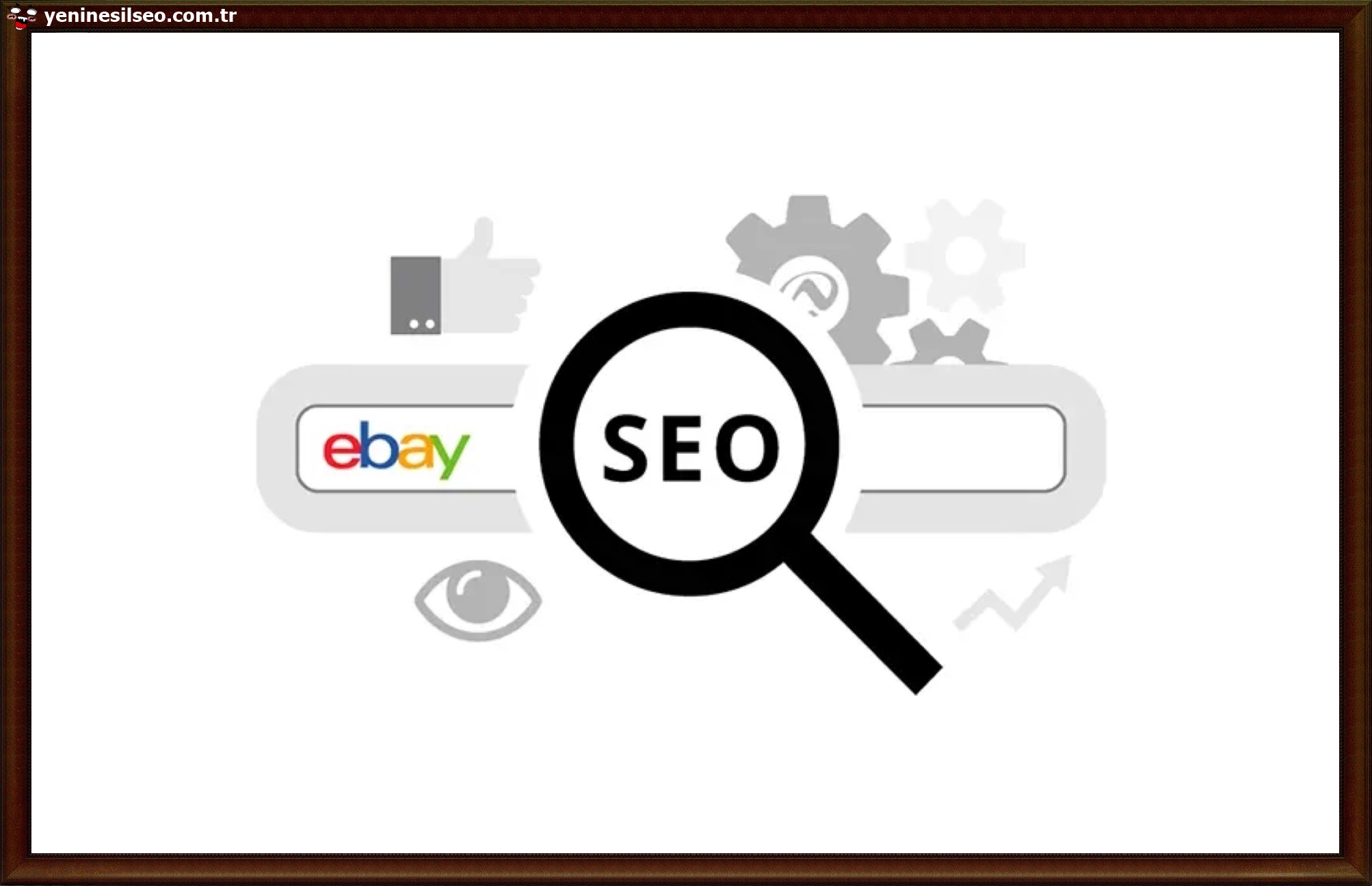 web yöneticisi araçları